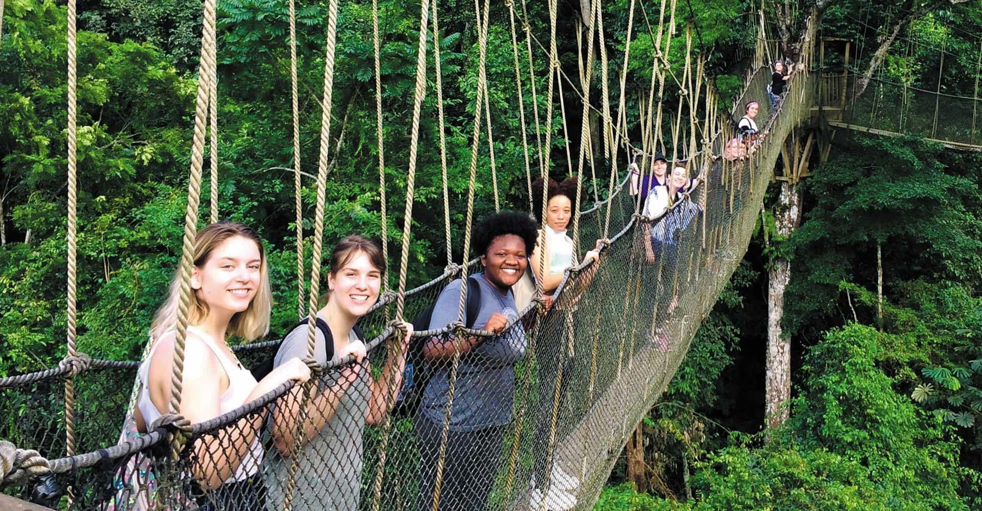 A row of Agnes Scott Summit students on a rope bridge.